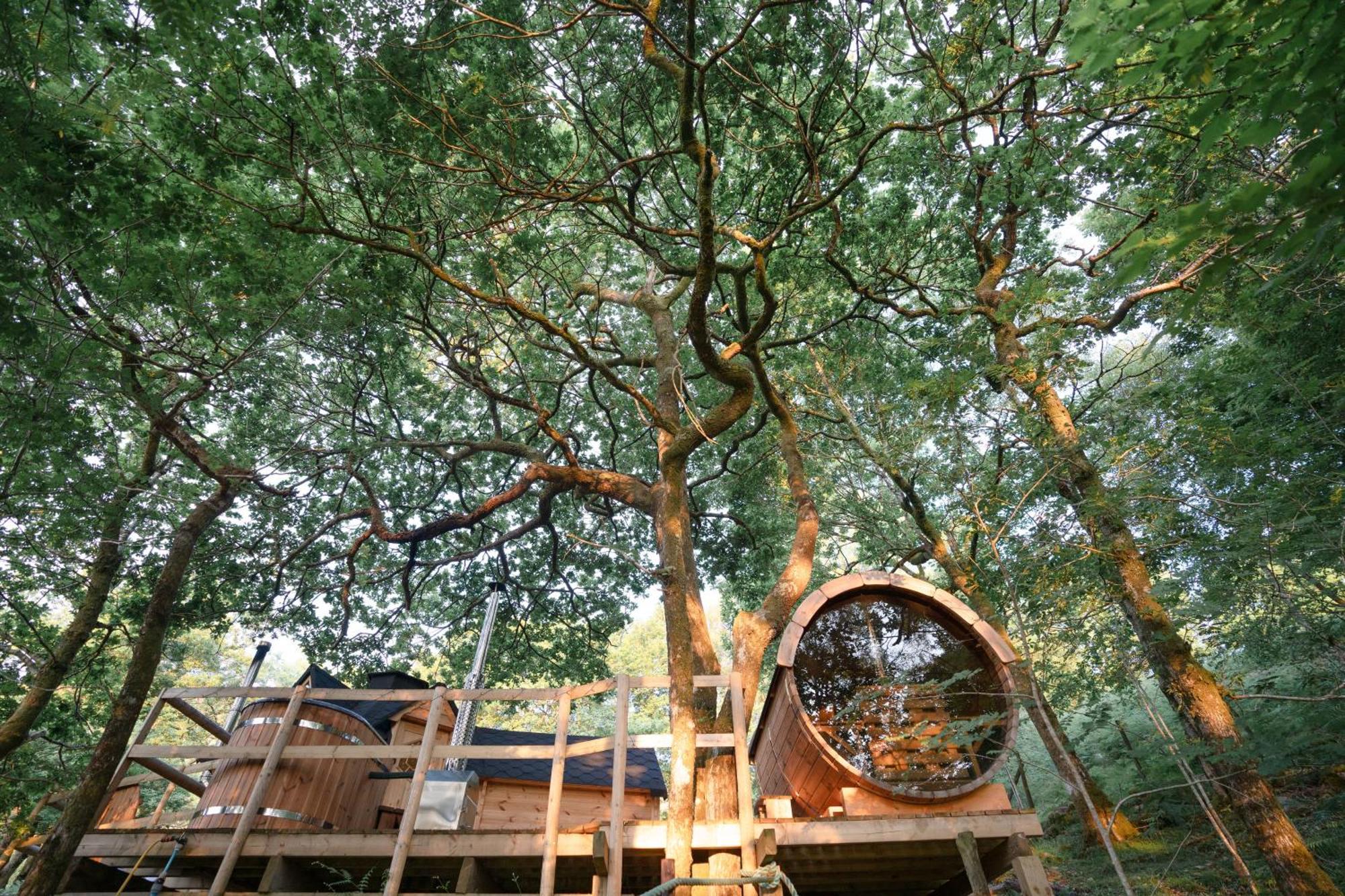 Chestnut Tree House With Hot Tub & Sauna Barmouth Exterior foto